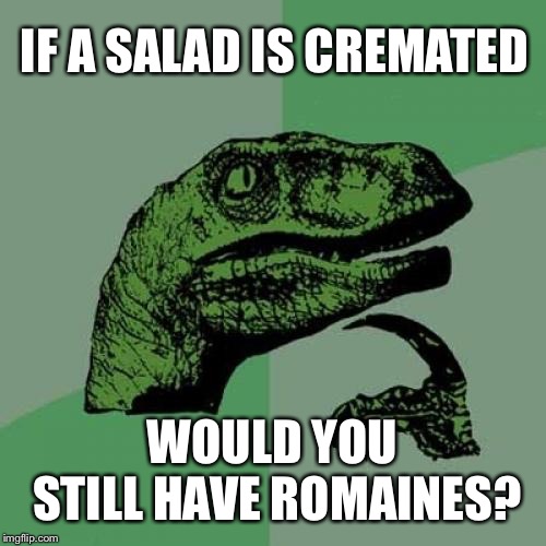 I’d have to see  | IF A SALAD IS CREMATED; WOULD YOU STILL HAVE ROMAINES? | image tagged in memes,philosoraptor | made w/ Imgflip meme maker