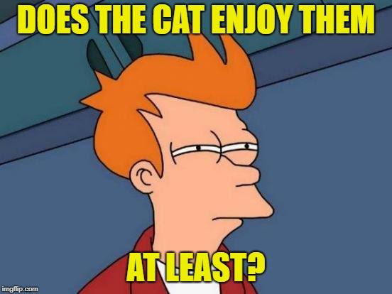 Futurama Fry Meme | DOES THE CAT ENJOY THEM AT LEAST? | image tagged in memes,futurama fry | made w/ Imgflip meme maker