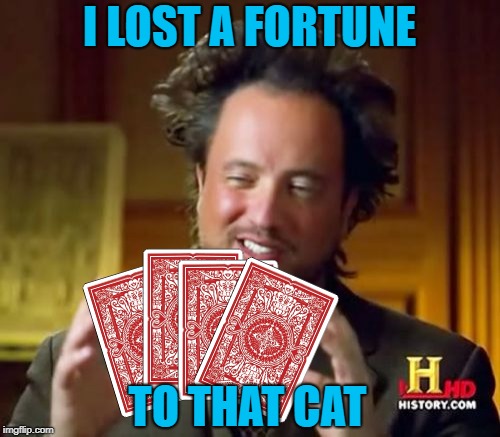 Ancient Aliens Meme | I LOST A FORTUNE TO THAT CAT | image tagged in memes,ancient aliens | made w/ Imgflip meme maker