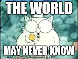 tootsie pop owl | THE WORLD MAY NEVER KNOW | image tagged in tootsie pop owl | made w/ Imgflip meme maker