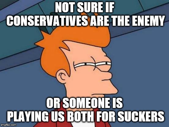 NOT SURE IF CONSERVATIVES ARE THE ENEMY OR SOMEONE IS PLAYING US BOTH FOR SUCKERS | image tagged in memes,futurama fry | made w/ Imgflip meme maker