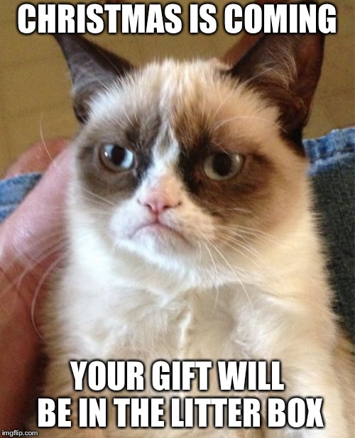 Grumpy Cat Meme | CHRISTMAS IS COMING; YOUR GIFT WILL BE IN THE LITTER BOX | image tagged in memes,grumpy cat | made w/ Imgflip meme maker