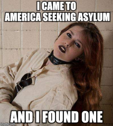 There's one in every county | I CAME TO AMERICA SEEKING ASYLUM; AND I FOUND ONE | image tagged in memes,asylum,crazy lady,psychopath,irony | made w/ Imgflip meme maker