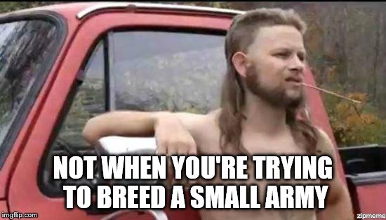 almost politically correct redneck | NOT WHEN YOU'RE TRYING TO BREED A SMALL ARMY | image tagged in almost politically correct redneck | made w/ Imgflip meme maker