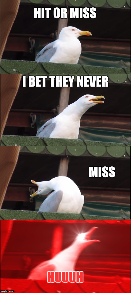 Inhaling Seagull | HIT OR MISS; I BET THEY NEVER; MISS; HUUUH | image tagged in memes,inhaling seagull | made w/ Imgflip meme maker
