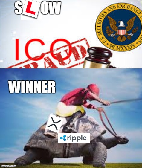 XRP Winner | S       OW; WINNER | image tagged in xrp | made w/ Imgflip meme maker