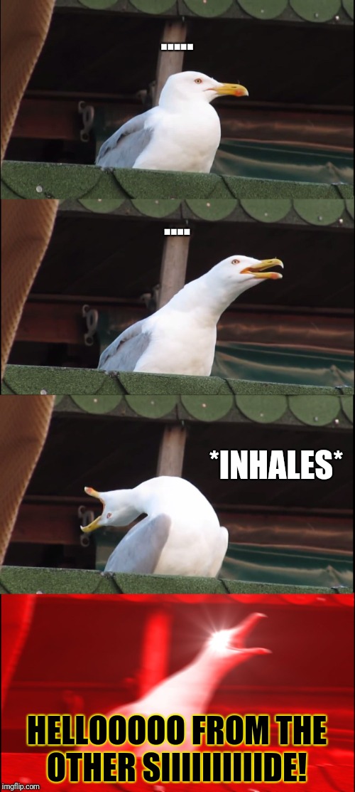 Inhaling Seagull Meme | ..... .... *INHALES* HELLOOOOO FROM THE OTHER SIIIIIIIIIIDE! | image tagged in memes,inhaling seagull | made w/ Imgflip meme maker