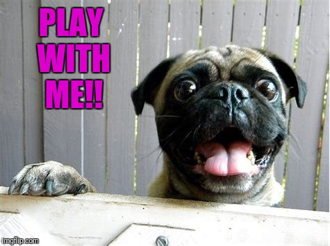 PLAY WITH ME!! | made w/ Imgflip meme maker