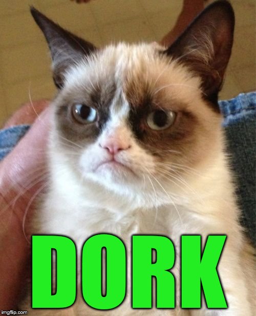 Grumpy Cat Meme | DORK | image tagged in memes,grumpy cat | made w/ Imgflip meme maker