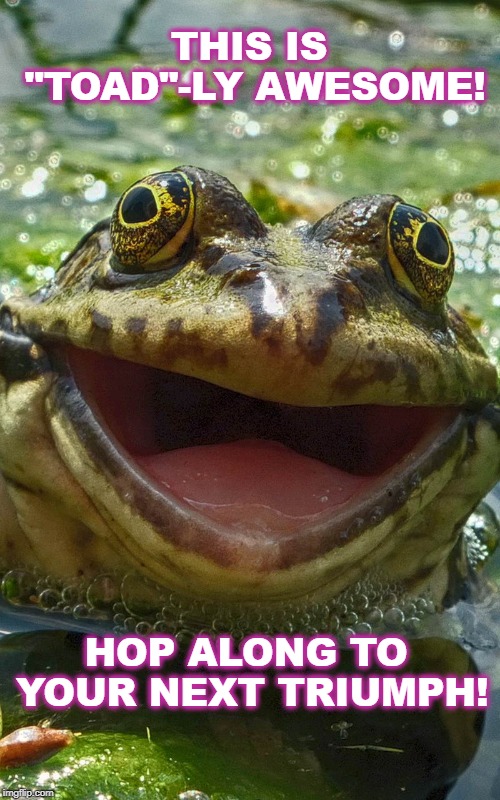 smiling frog | THIS IS "TOAD"-LY AWESOME! HOP ALONG TO YOUR NEXT TRIUMPH! | image tagged in smiling frog | made w/ Imgflip meme maker
