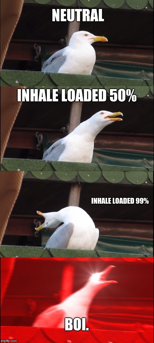 Inhaling Seagull | NEUTRAL; INHALE LOADED 50%; INHALE LOADED 99%; BOI. | image tagged in memes,inhaling seagull | made w/ Imgflip meme maker
