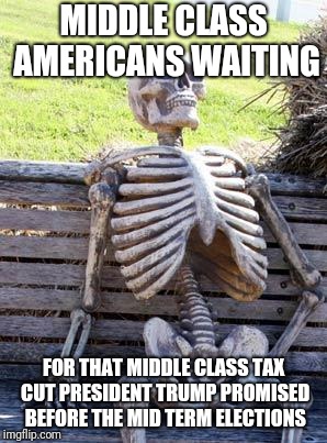 Waiting Skeleton | MIDDLE CLASS AMERICANS WAITING; FOR THAT MIDDLE CLASS TAX CUT PRESIDENT TRUMP PROMISED BEFORE THE MID TERM ELECTIONS | image tagged in memes,waiting skeleton,middleclasstaxcut,trump | made w/ Imgflip meme maker