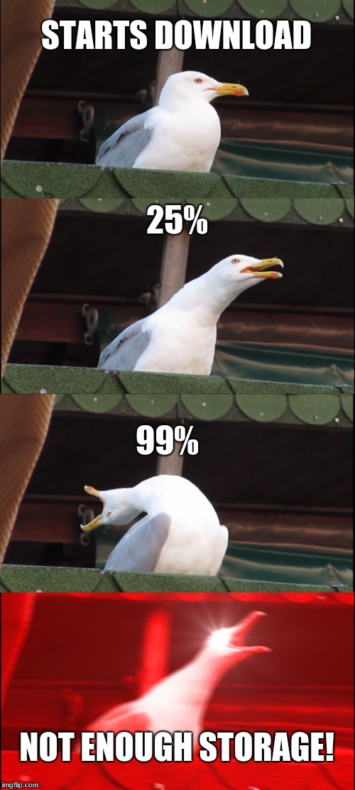 Inhaling Seagull Meme | STARTS DOWNLOAD; 25%; 99%; NOT ENOUGH STORAGE! | image tagged in memes,inhaling seagull | made w/ Imgflip meme maker