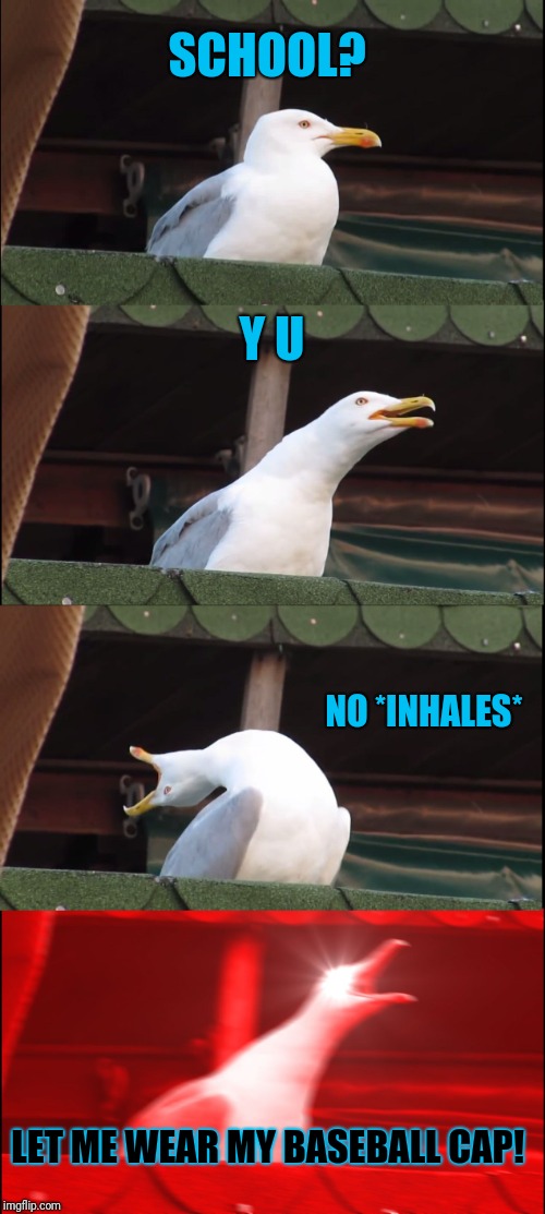 Inhaling Seagull Meme | SCHOOL? Y U NO *INHALES* LET ME WEAR MY BASEBALL CAP! | image tagged in memes,inhaling seagull | made w/ Imgflip meme maker