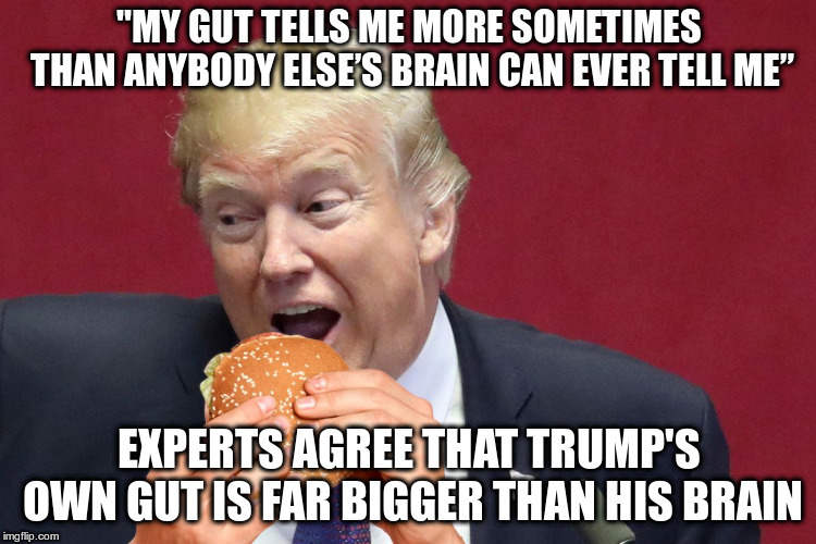 Trump explains how to process Federal Reserve Processes | "MY GUT TELLS ME MORE SOMETIMES THAN ANYBODY ELSE’S BRAIN CAN EVER TELL ME”; EXPERTS AGREE THAT TRUMP'S OWN GUT IS FAR BIGGER THAN HIS BRAIN | image tagged in trump,federal reserve,humor,gut,brains,stable genius | made w/ Imgflip meme maker