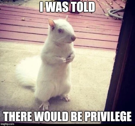 Albino Squirrel | I WAS TOLD; THERE WOULD BE PRIVILEGE | image tagged in albino squirrel | made w/ Imgflip meme maker