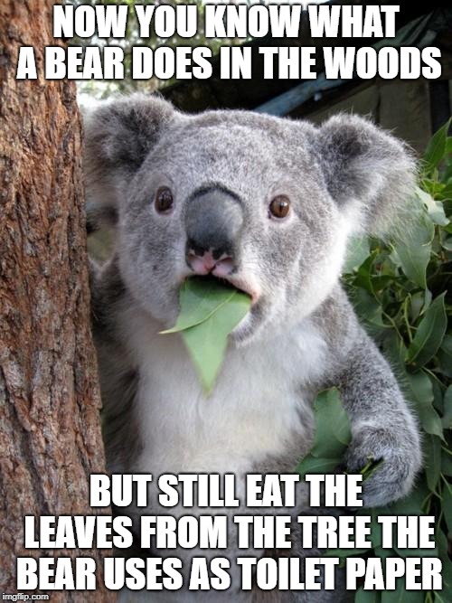 Surprised Koala Meme | NOW YOU KNOW WHAT A BEAR DOES IN THE WOODS; BUT STILL EAT THE LEAVES FROM THE TREE THE BEAR USES AS TOILET PAPER | image tagged in memes,surprised koala | made w/ Imgflip meme maker