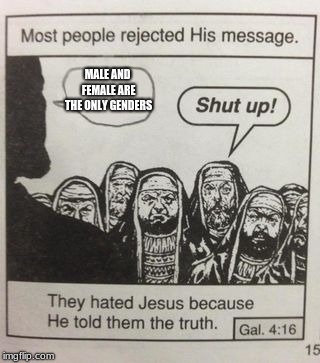 They hated Jesus meme | MALE AND FEMALE ARE THE ONLY GENDERS | image tagged in they hated jesus meme | made w/ Imgflip meme maker