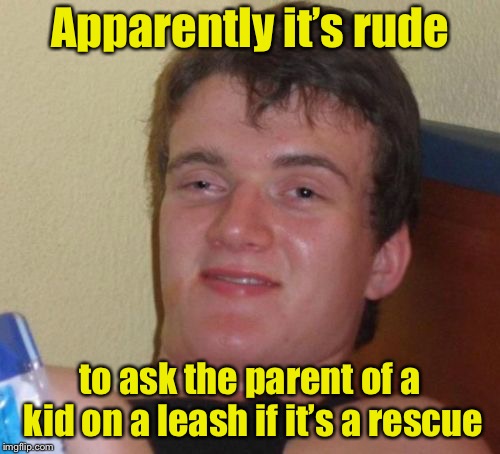 10 Guy Meme |  Apparently it’s rude; to ask the parent of a kid on a leash if it’s a rescue | image tagged in memes,10 guy | made w/ Imgflip meme maker
