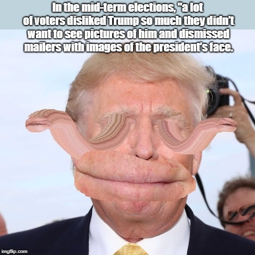 In the mid-term elections, "a lot of voters disliked Trump so much they didnâ€™t want to see pictures of him and dismissed mailers with images | made w/ Imgflip meme maker