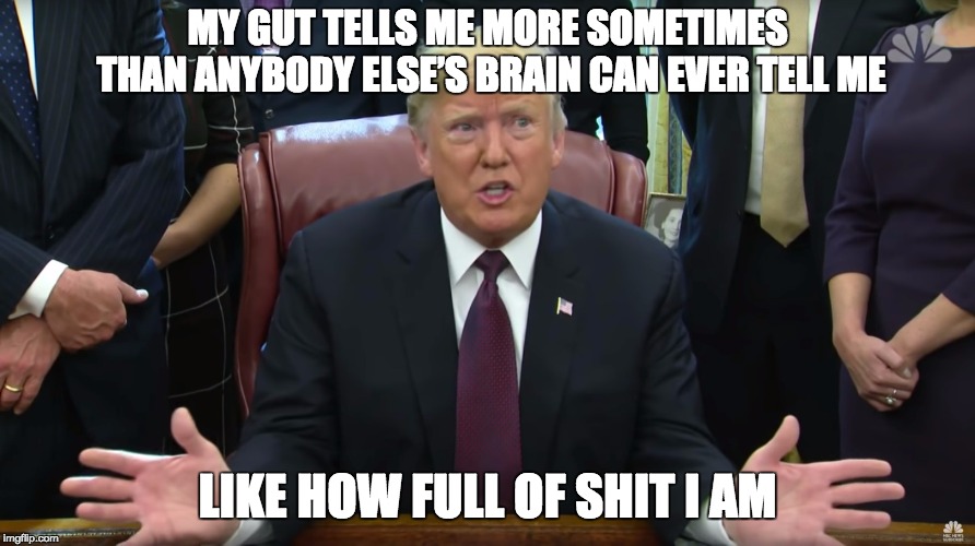 Got a gut feeling about this.... | MY GUT TELLS ME MORE SOMETIMES THAN ANYBODY ELSE’S BRAIN CAN EVER TELL ME; LIKE HOW FULL OF SHIT I AM | image tagged in deranged trump syndrome,memes,trump,feeling gut | made w/ Imgflip meme maker