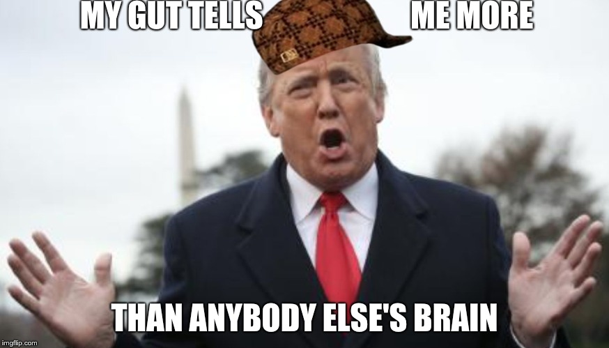 MY GUT TELLS                        ME MORE; THAN ANYBODY ELSE'S BRAIN | image tagged in my gut tells me more than anybody elses brain,scumbag | made w/ Imgflip meme maker