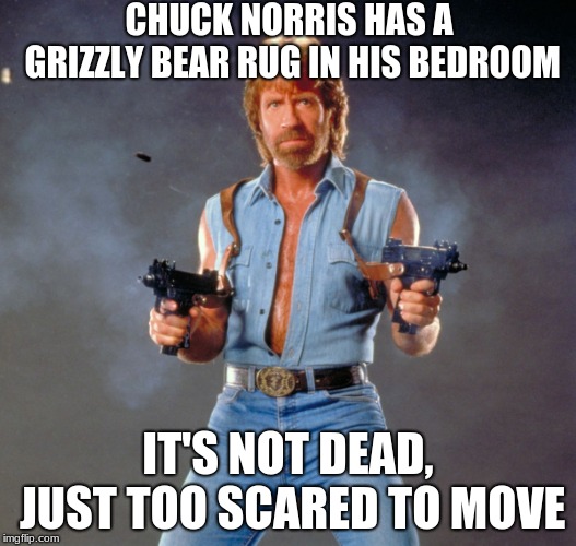 Chuck Norris Guns Meme | CHUCK NORRIS HAS A GRIZZLY BEAR RUG IN HIS BEDROOM; IT'S NOT DEAD, JUST TOO SCARED TO MOVE | image tagged in memes,chuck norris guns,chuck norris | made w/ Imgflip meme maker