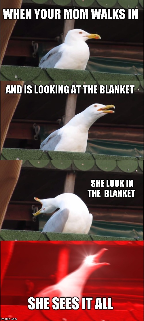 Inhaling Seagull | WHEN YOUR MOM WALKS IN; AND IS LOOKING AT THE BLANKET; SHE LOOK IN THE  BLANKET; SHE SEES IT ALL | image tagged in memes,inhaling seagull | made w/ Imgflip meme maker