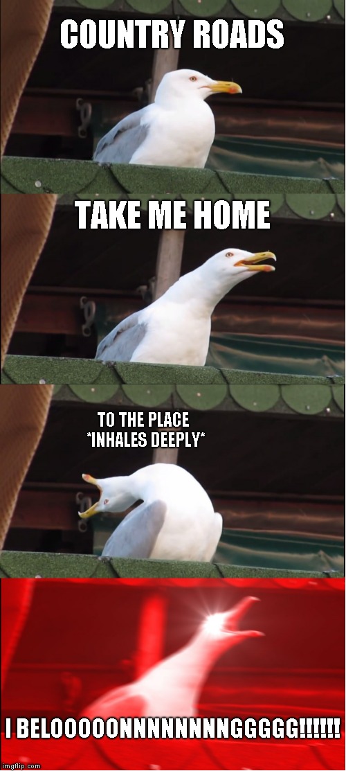 Inhaling Seagull Meme | COUNTRY ROADS; TAKE ME HOME; TO THE PLACE *INHALES DEEPLY*; I BELOOOOONNNNNNNNGGGGG!!!!!! | image tagged in memes,inhaling seagull | made w/ Imgflip meme maker