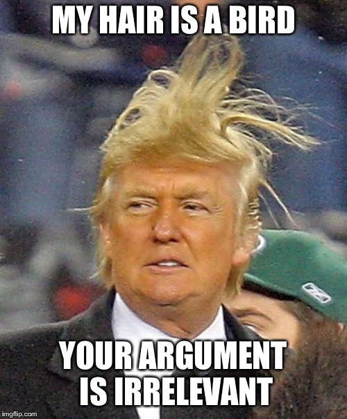 Donald Trumph hair | MY HAIR IS A BIRD; YOUR ARGUMENT IS IRRELEVANT | image tagged in donald trumph hair | made w/ Imgflip meme maker