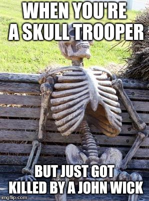Waiting Skeleton Meme | WHEN YOU'RE A SKULL TROOPER; BUT JUST GOT KILLED BY A JOHN WICK | image tagged in memes,waiting skeleton | made w/ Imgflip meme maker