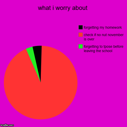 what i worry about | forgetting to tpose before leaving the school, check if no nut november is over, forgetting my homework | image tagged in funny,pie charts | made w/ Imgflip chart maker