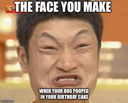 Impossibru Guy Original Meme | THE FACE YOU MAKE; WHEN YOUR DOG POOPED IN YOUR BIRTHDAY CAKE | image tagged in memes,impossibru guy original | made w/ Imgflip meme maker