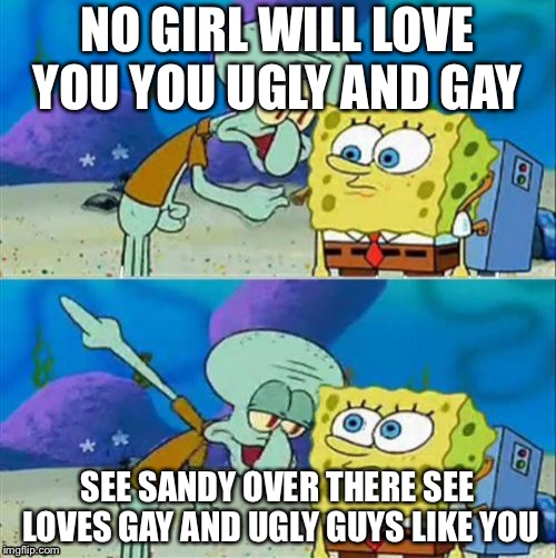 Talk To Spongebob Meme | NO GIRL WILL LOVE YOU YOU UGLY AND GAY; SEE SANDY OVER THERE SEE LOVES GAY AND UGLY GUYS LIKE YOU | image tagged in memes,talk to spongebob | made w/ Imgflip meme maker