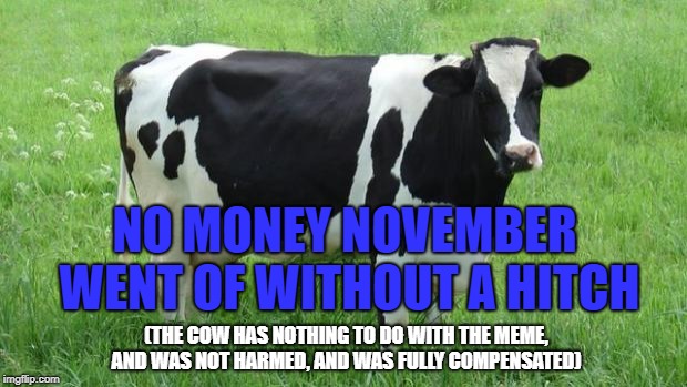 Forget No Shave November, No Nut November. This one is a breeze. Without even trying.  | NO MONEY NOVEMBER WENT OF WITHOUT A HITCH; (THE COW HAS NOTHING TO DO WITH THE MEME, AND WAS NOT HARMED, AND WAS FULLY COMPENSATED) | image tagged in cow,broke,no money,november event,memes,funny | made w/ Imgflip meme maker