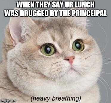 Heavy Breathing Cat Meme | WHEN THEY SAY UR LUNCH WAS DRUGGED BY THE PRINCEIPAL | image tagged in memes,heavy breathing cat | made w/ Imgflip meme maker