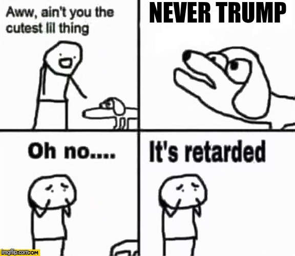 Not really Political if you think about it | NEVER TRUMP | image tagged in oh no it's retarded,libtards,partisanship,oh really,thisimagehasalotoftags | made w/ Imgflip meme maker