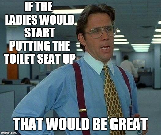 That Would Be Great | IF THE LADIES WOULD START PUTTING THE TOILET SEAT UP; THAT WOULD BE GREAT | image tagged in memes,that would be great | made w/ Imgflip meme maker