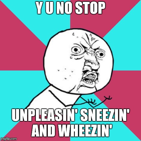 y u no music | Y U NO STOP UNPLEASIN'
SNEEZIN' AND WHEEZIN' | image tagged in y u no music | made w/ Imgflip meme maker