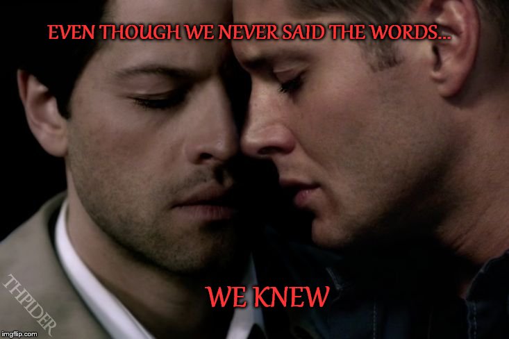 We knew | EVEN THOUGH WE NEVER SAID THE WORDS... WE KNEW | image tagged in supernatural,supernatural dean winchester | made w/ Imgflip meme maker