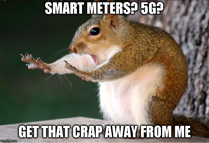 Not in MY tree! | SMART METERS? 5G? GET THAT CRAP AWAY FROM ME | image tagged in not funny | made w/ Imgflip meme maker