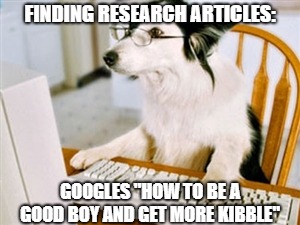 Research Dog | FINDING RESEARCH ARTICLES:; GOOGLES "HOW TO BE A GOOD BOY AND GET MORE KIBBLE" | image tagged in research dog | made w/ Imgflip meme maker