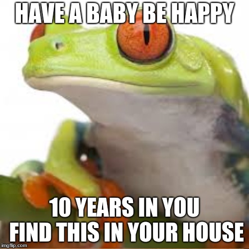 Your Adult Life | HAVE A BABY BE HAPPY; 10 YEARS IN YOU FIND THIS IN YOUR HOUSE | image tagged in memes | made w/ Imgflip meme maker