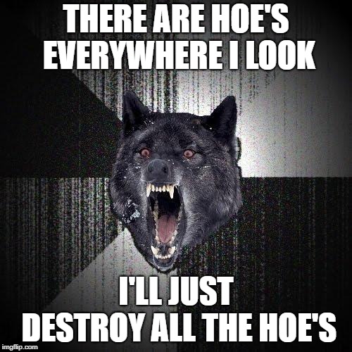 Insanity Wolf Meme | THERE ARE HOE'S EVERYWHERE I LOOK; I'LL JUST DESTROY ALL THE HOE'S | image tagged in memes,insanity wolf | made w/ Imgflip meme maker