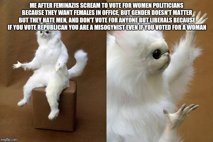 Attack of the Feminazis | ME AFTER FEMINAZIS SCREAM TO VOTE FOR WOMEN POLITICIANS BECAUSE THEY WANT FEMALES IN OFFICE, BUT GENDER DOESN'T MATTER BUT THEY HATE MEN, AND DON'T VOTE FOR ANYONE BUT LIBERALS BECAUSE IF YOU VOTE REPUBLICAN YOU ARE A MISOGYNIST EVEN IF YOU VOTED FOR A WOMAN | image tagged in confused cat,feminazis,confused,triggered feminist,hypocrite | made w/ Imgflip meme maker