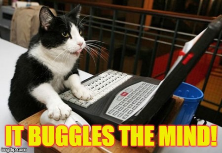Fact Cat | IT BUGGLES THE MIND! | image tagged in fact cat | made w/ Imgflip meme maker