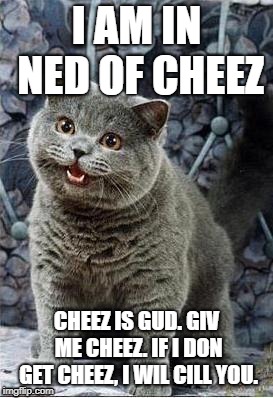 cheez! | I AM IN NED OF CHEEZ; CHEEZ IS GUD. GIV ME CHEEZ. IF I DON GET CHEEZ, I WIL CILL YOU. | image tagged in i can has cheezburger cat | made w/ Imgflip meme maker