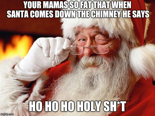 santa | YOUR MAMAS SO FAT THAT WHEN SANTA COMES DOWN THE CHIMNEY HE SAYS; HO HO HO HOLY SH*T | image tagged in santa | made w/ Imgflip meme maker