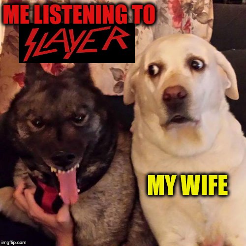 ME LISTENING TO; MY WIFE | image tagged in heavy metal,slayer,evil dog | made w/ Imgflip meme maker