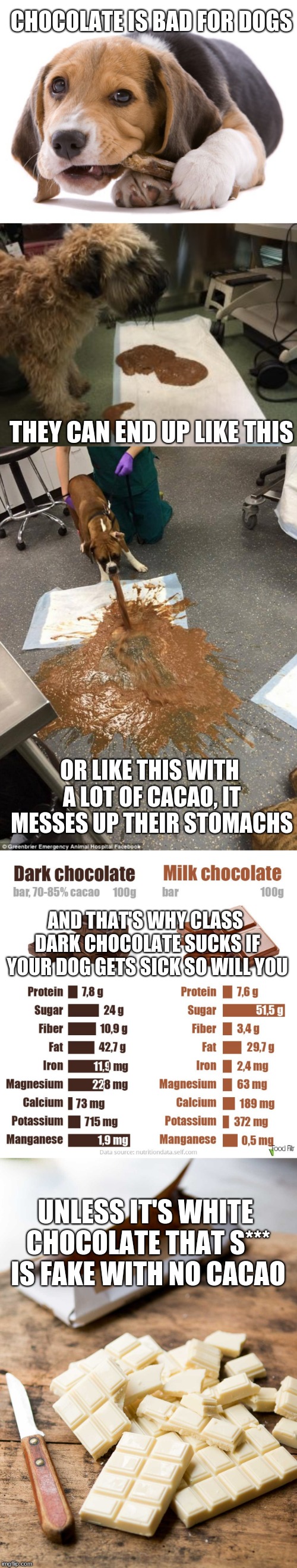 It's true they get a stomach ache and if it's 85% or more they can die (Weekly lessons ep 4) | CHOCOLATE IS BAD FOR DOGS; THEY CAN END UP LIKE THIS; OR LIKE THIS WITH A LOT OF CACAO, IT MESSES UP THEIR STOMACHS; AND THAT'S WHY CLASS DARK CHOCOLATE SUCKS IF YOUR DOG GETS SICK SO WILL YOU; UNLESS IT'S WHITE CHOCOLATE THAT S*** IS FAKE WITH NO CACAO | image tagged in memes,dj's lessons,sick dog,chocolate,dark chocolate sabe como caca,white chocolate es para los pinches gatos | made w/ Imgflip meme maker